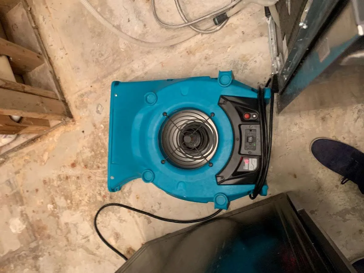 Air mover drying equipment for Mold Remediation & Removal in East Riverdale